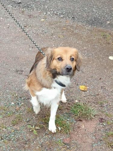 581118730_25336609365972904_9160270544888494194_n