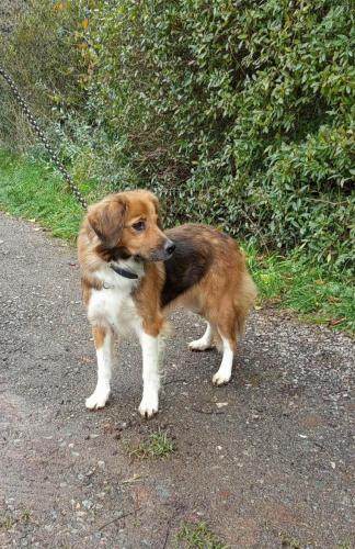 581939658_25336611272639380_6728886756862776513_n