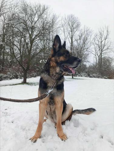 590292489_25513428574957648_8524333723096779982_n