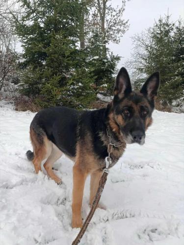 591730940_25513425264957979_4018996978149776451_n