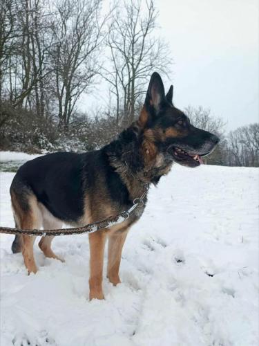 591730969_25513430144957491_3442894214587611333_n