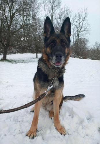 591939516_25513427024957803_6578668892689794368_n