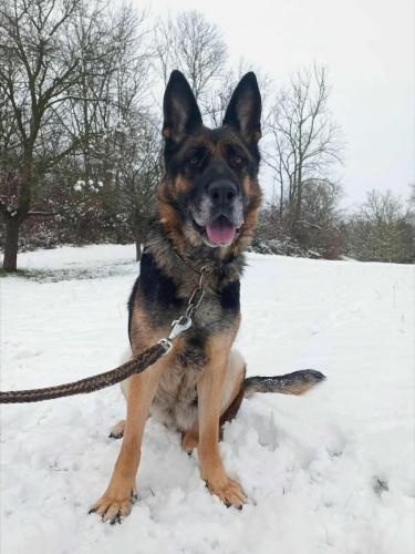 592143862_25513423264958179_6523106459382474617_n