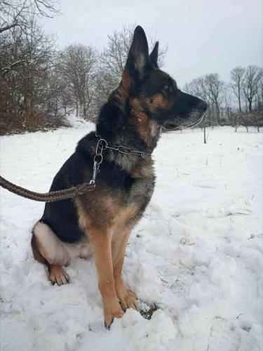 592223036_25513426591624513_4950974360188207157_n