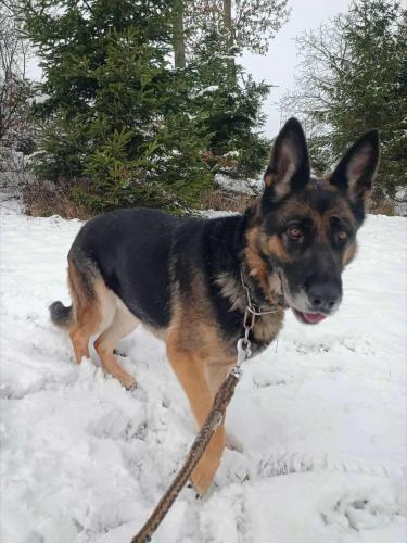 592409251_25513424368291402_5882788087680225589_n