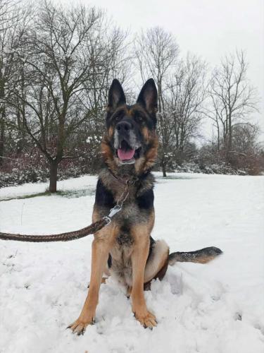 593115262_25513428041624368_9056096402977206802_n