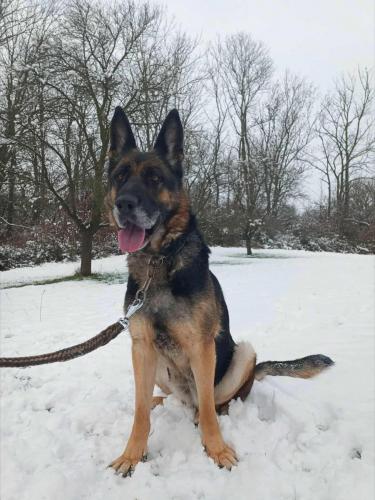 593194679_25513429011624271_4673159296598140966_n