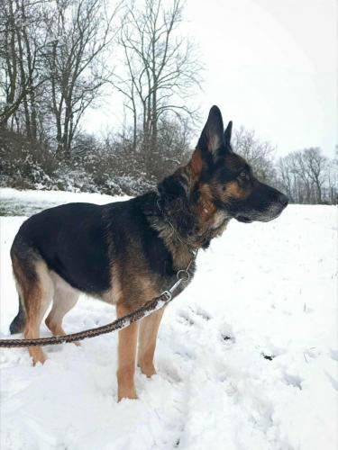 593717217_25513429488290890_2083616020785142277_n