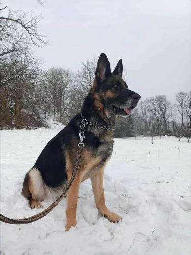 593755048_25513424798291359_1881977217861398625_n