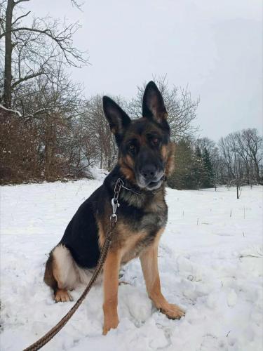 593985847_25513426094957896_4925979215169933438_n