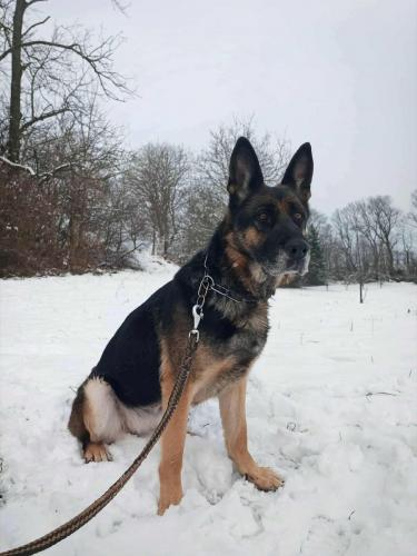 594070005_25513425734957932_840700642407539929_n