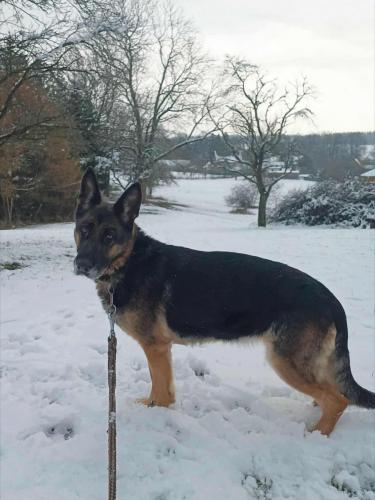 594217700_25513423774958128_5311596910084269203_n