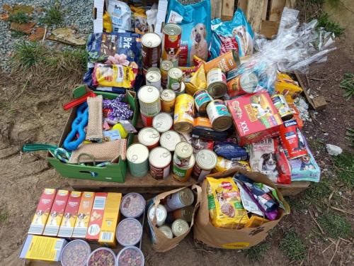 Děkujeme žákům 1.stupně ZŠ Masarykova 563, Rychnov nad Kněžnou