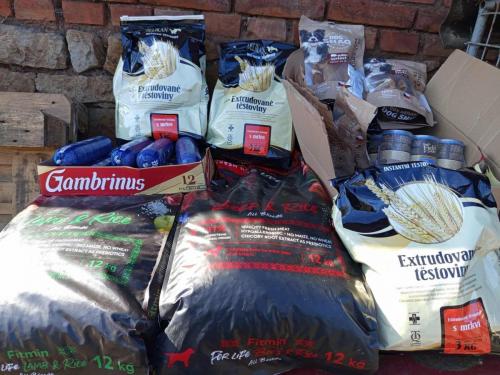 Moc děkujeme mladému pánovi, který si přál k narozeninám dárky pro pejsky bez domova 