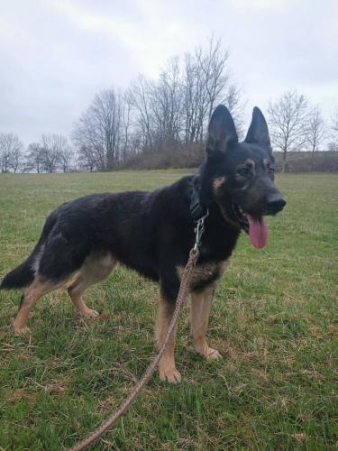 660452592_26657657660534728_8986323836784945391_n