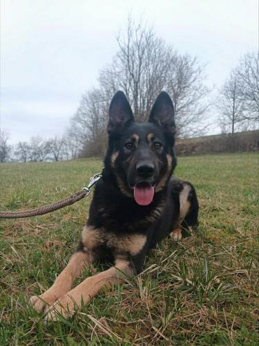 660592505_26657655857201575_2653671843480978230_n