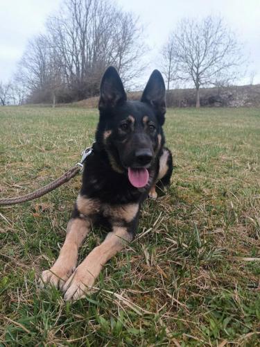 661078638_26657656277201533_8315772866627232680_n