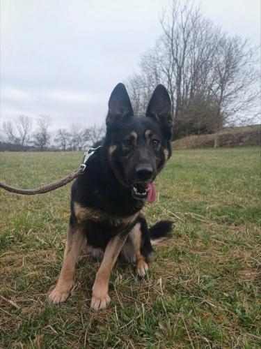 663234996_26657656990534795_8490568971817672526_n