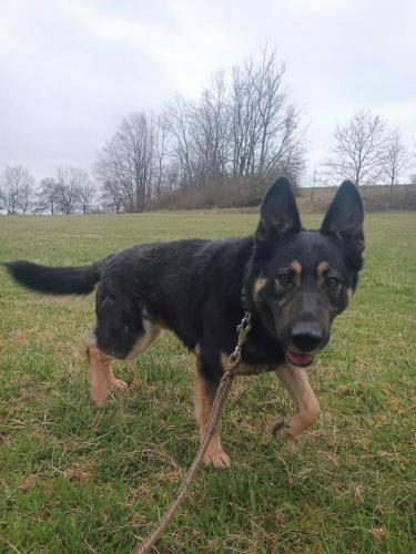 665304909_26657657380534756_94225159592758743_n