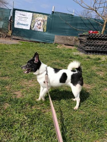 665495253_26681624598138034_7953131369488626932_n