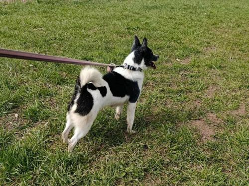 666031334_26681625081471319_122261405117037777_n