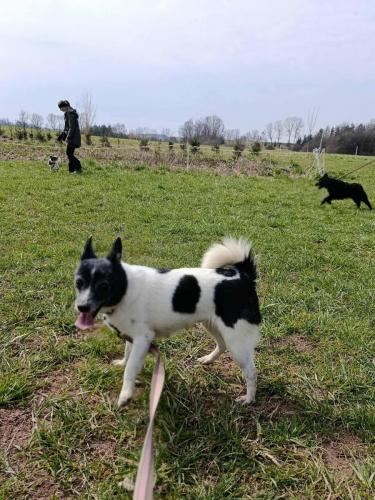 666109152_26681624131471414_2688463089876751152_n