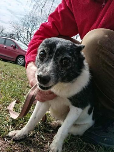 666120061_26681625454804615_5515392442098019371_n