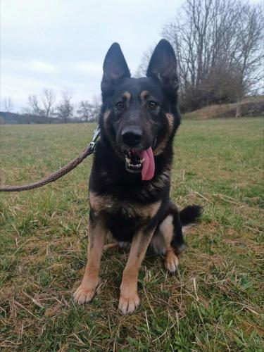 666198166_26657656640534830_350661704202111837_n