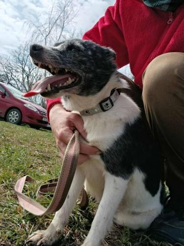 668114442_26681623638138130_4217352855721544739_n