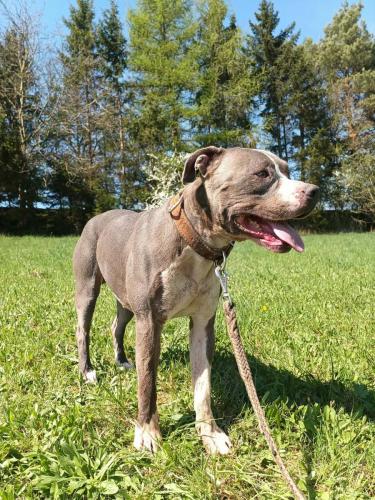 670092181_1493371878991148_5283096345828764412_n