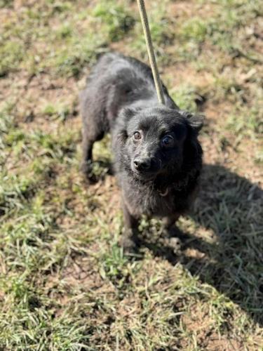 670624360_26770390255928134_7654621068447009351_n