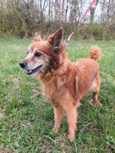 670938815_26770403005926859_645253970339214793_n