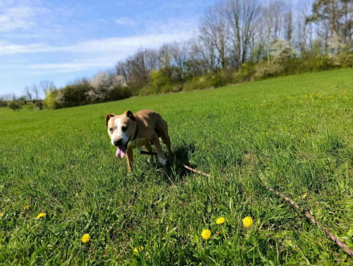 671179975_931867973069429_1598957476422562997_n