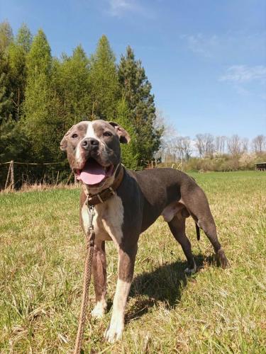 671690239_972925178552886_5036837572005861975_n