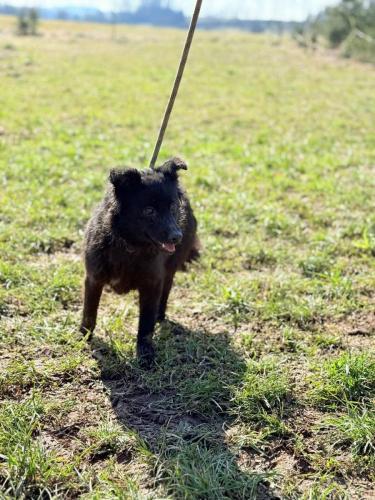 672023807_26770391055928054_1058712617322969558_n