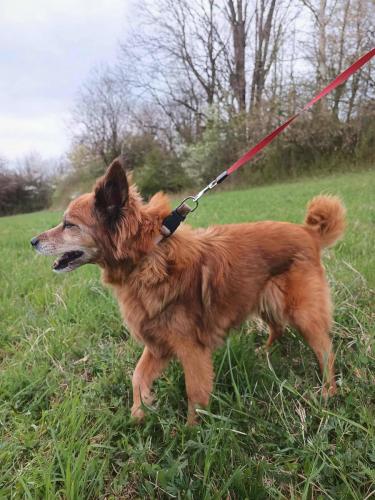 672134831_26770404409260052_8744316515602892875_n