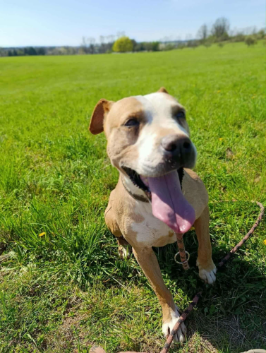 672589691_957600610185825_3032856486862796539_n