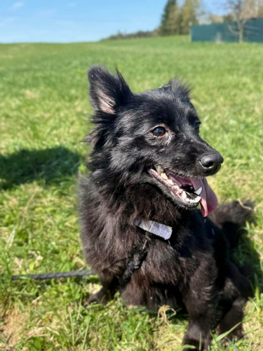 672636819_2628580584327239_6694328627660533348_n