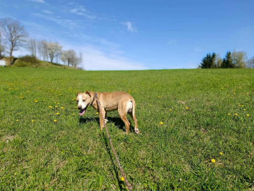 672672294_1390919026387013_4984947746599626837_n