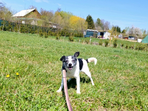 672674708_1691697785352269_7448215067149369923_n