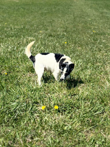 672678733_1895836421136240_8283932609832200290_n