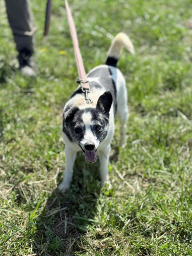 672681334_843707564718388_297473147747258838_n