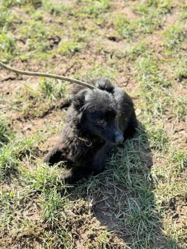 672684723_26770392285927931_7087970585192186576_n