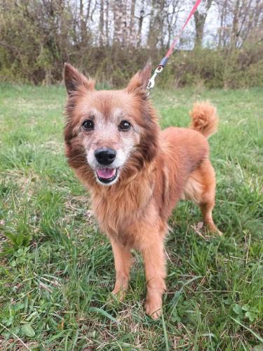 672684784_26770405599259933_6839254239181953341_n