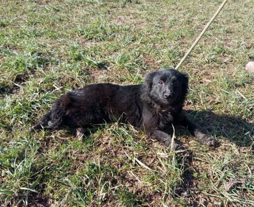 672685756_26770393295927830_3336112954111068698_n