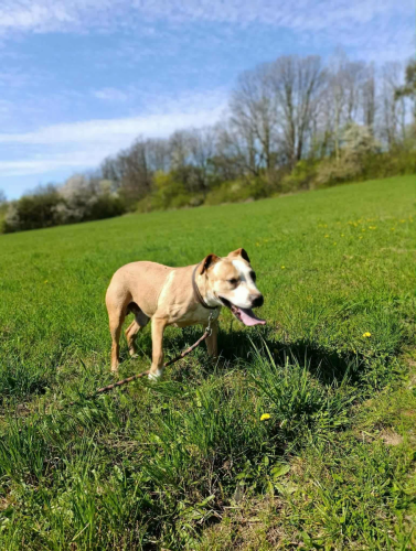 672685974_1384796513672223_7869272122343183121_n