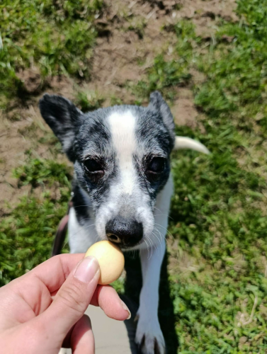 672690053_1722625655780261_2776369526507433161_n