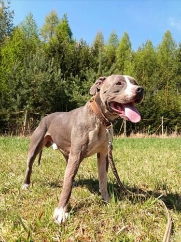 672872836_1675412590570726_1939480323996094523_n