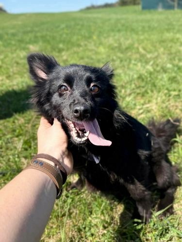 673668186_3432346216940752_6991033021037173857_n