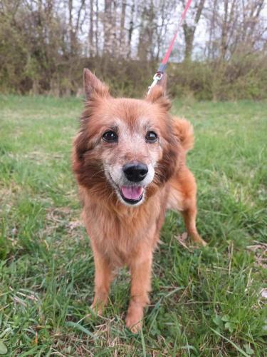 674165364_26770402525926907_5525221516325010695_n